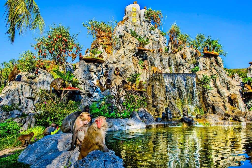 justfly monkey island nha trang
