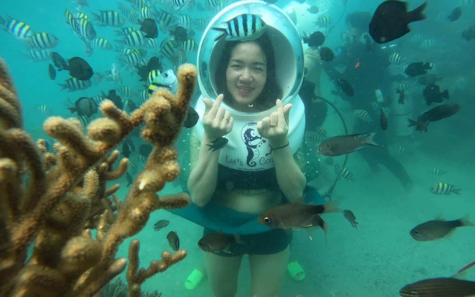 Dạo chơi đáy biển Nha Trang (Vịnh San Hô - Làng Chài - Bãi Tranh)