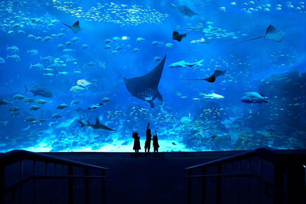 Hanoi - Singapore - Sentosa (4N3D)