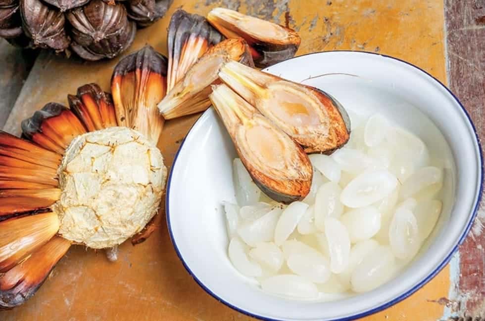 Rừng Dừa Bảy Mẫu - Câu Cá