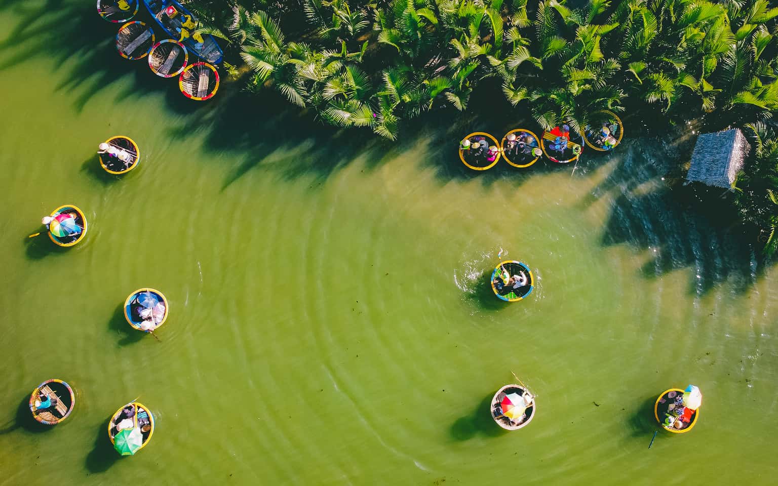 justfly rung dua bay mau hoi an
