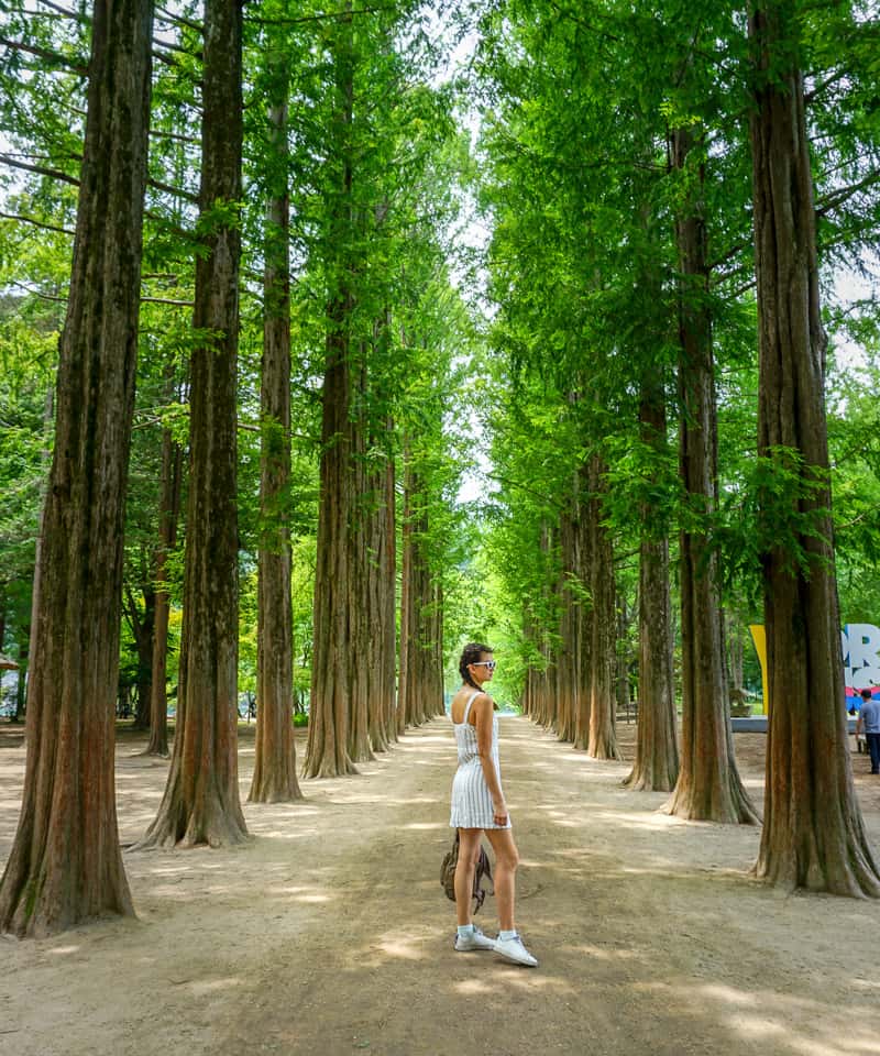 Seoul - Nami - Drumcat Show - Everland (5N4Đ) ✩ Bay Bamboo Airways ✩ Khách Sạn 3*