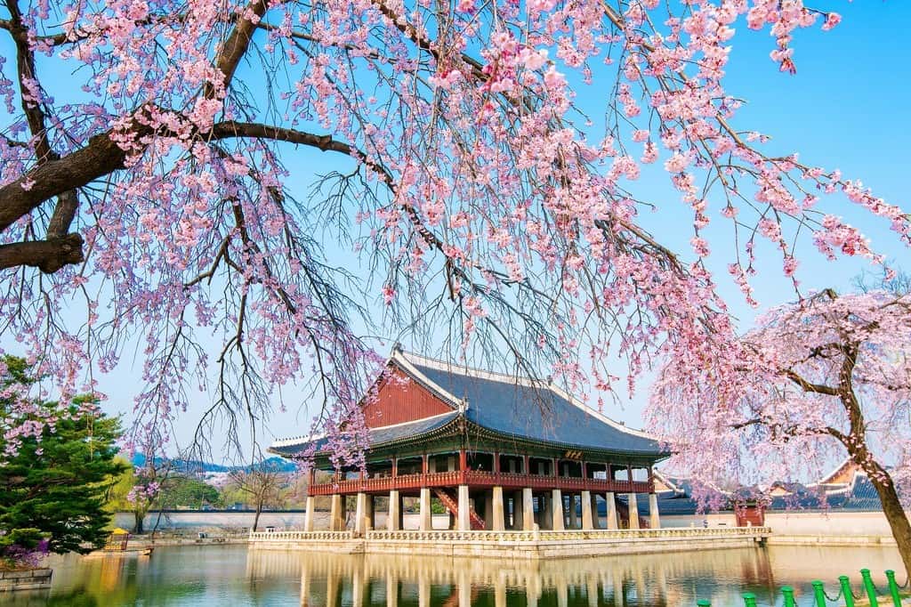 Hà Nội - Seoul - Nami - Everland - Sauna - Sky Walk (5N4Đ) ✩ Bay Vietjet Air ✩ Khách Sạn 4*