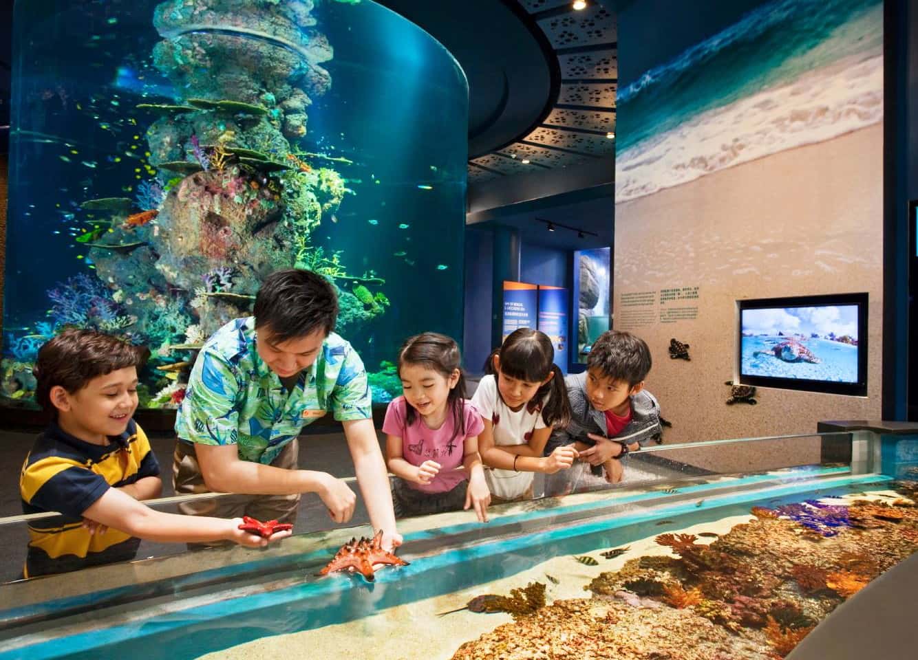 Mono Singapore (4 Nights, 3 Days) ✩ VietJet Air ✩ 4-Star Hotel