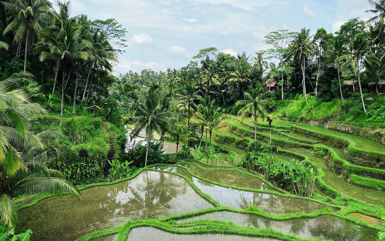 Thiên Đường Nghỉ Dưỡng Đảo Bali (4N3Đ) ✩ Bay VietJet Air ✩ Khách Sạn 5*