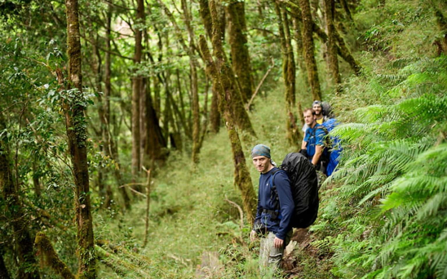 Trekking VQG Phú Quốc - Chèo Sup Rạch Vẹm