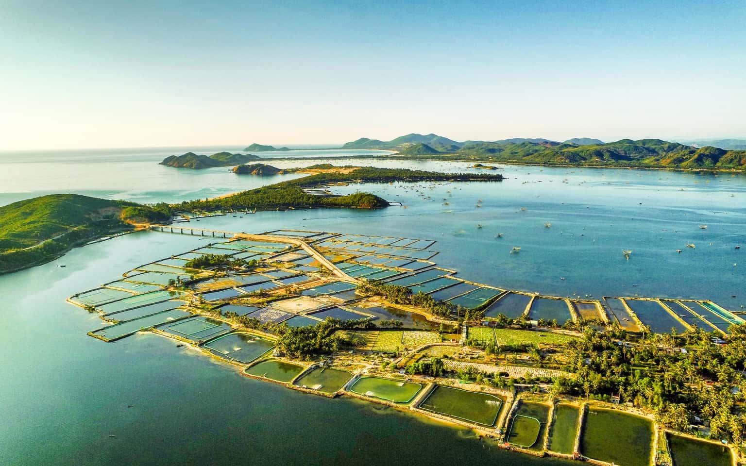 Phú Yên 1 Day: Journey to the Land of "Yellow Flowers and Green Grass"