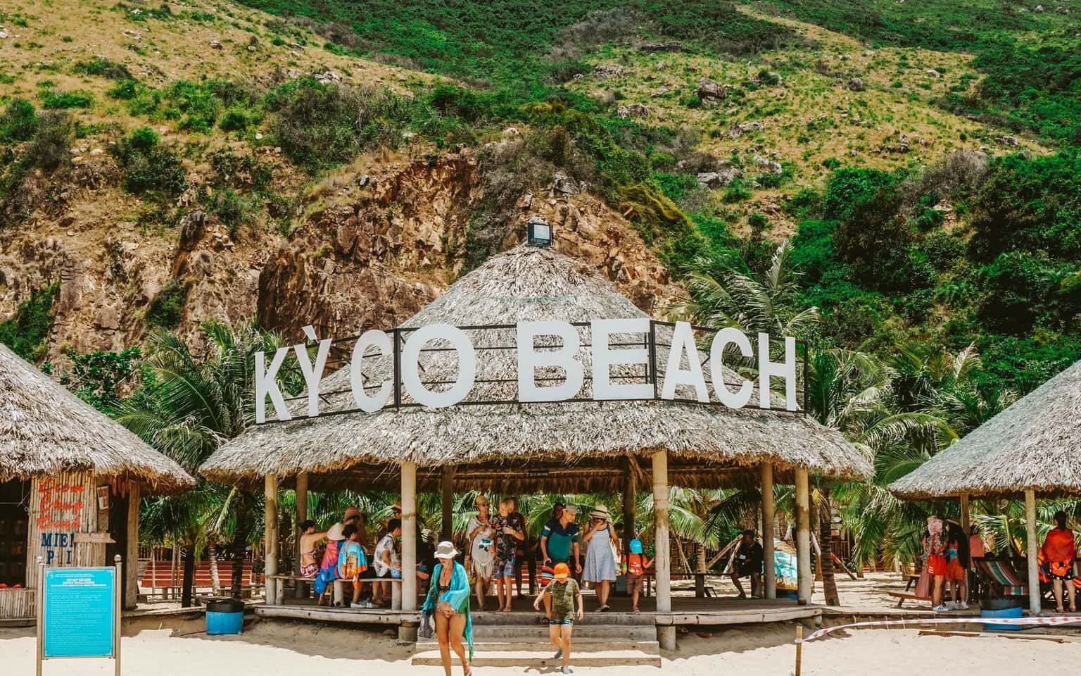 Kỳ Co - Coral Diving (Pineapple Beach)