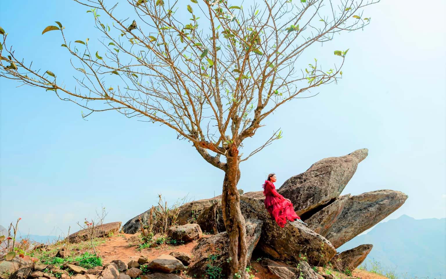 Săn Mây Trên Đỉnh Tà Xùa (2N1Đ)