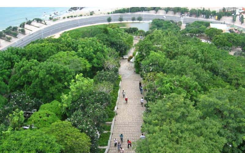 cong vien tao phung dia diem du lich vung tau attvut53