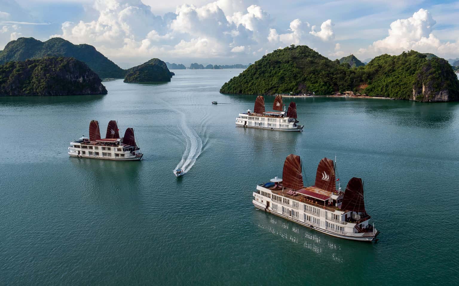 pelican glory pelican cruise ha long