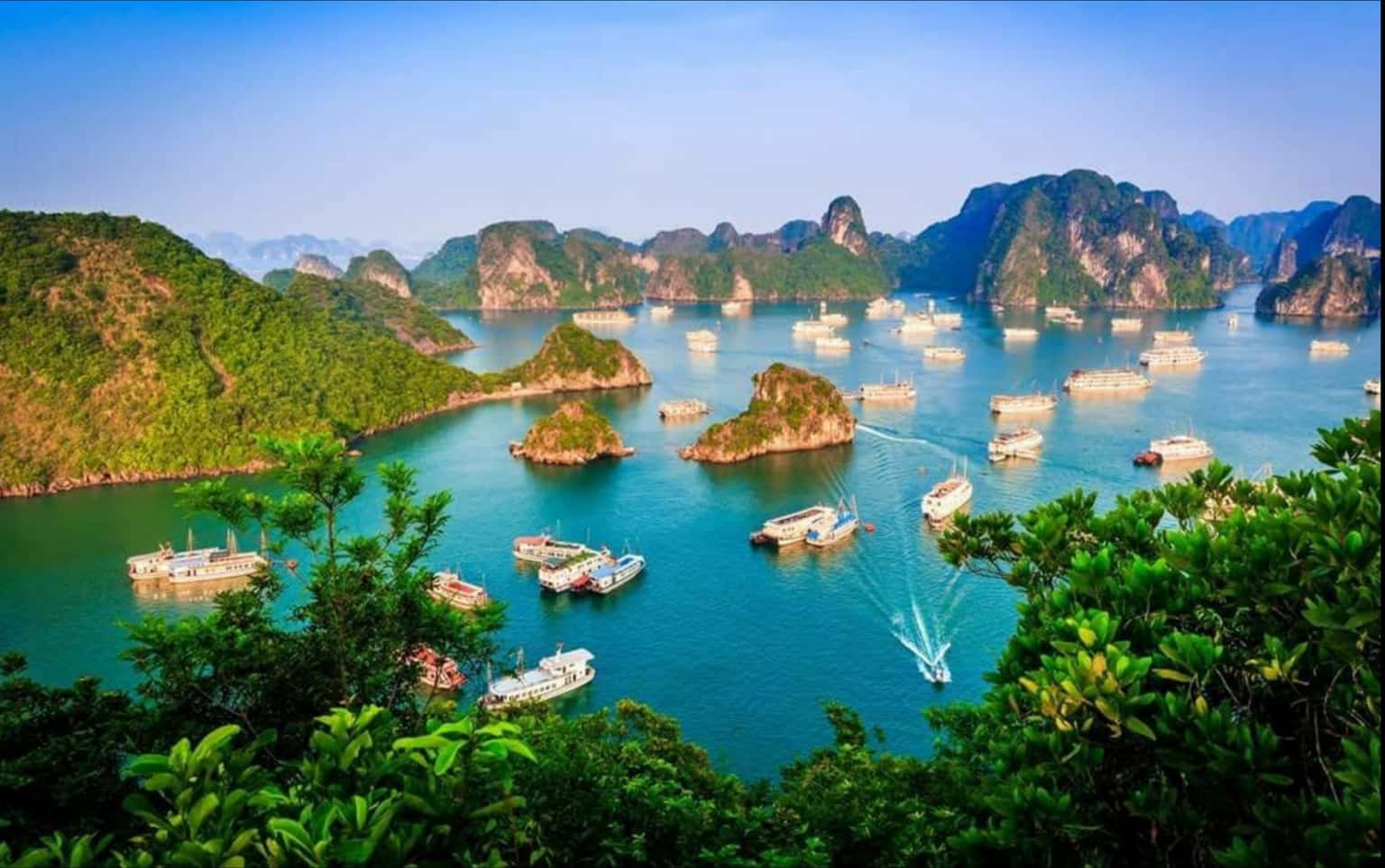Vịnh Hạ Long — ảnh 11