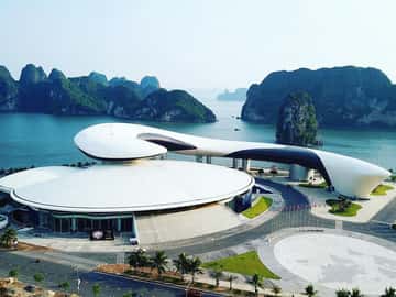 cung ca heo ha long