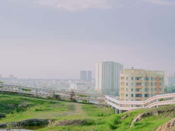 doi con heo vung tau