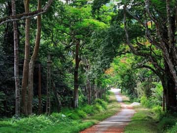 Vườn Quốc gia Cúc Phương, Ninh Bình