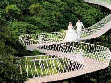Cầu Mây Tam Đảo
