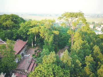 justfly chua tram gian hanoi