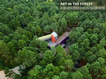 Art in the Forest Flamingo Đại Lải