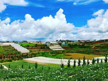 Trại Mát