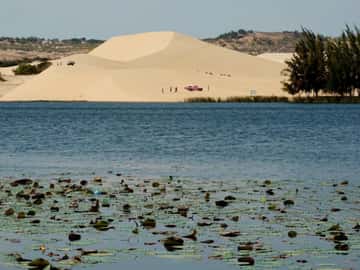 Bàu Trắng - Bàu Sen (White Sand Dunes)