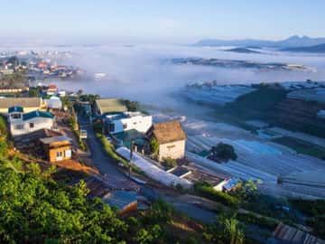Làng hoa Thái Phiên