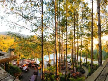 KDL Sinh Thái Cao Nguyên Hoa Đà Lạt