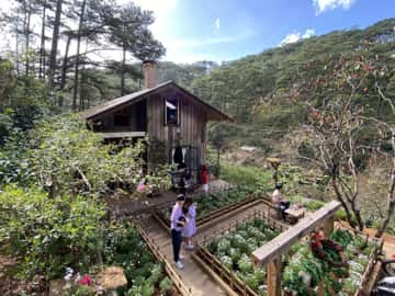 Lưng Chừng Cafe (Đà Lạt)
