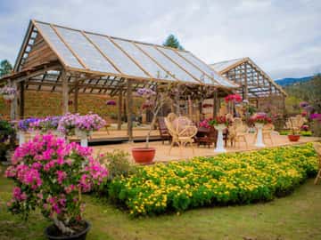 The Florest - Hoa Trong Rừng (Đà Lạt)