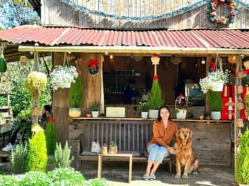 Quán Café Bao Tiền Một Mớ Bình Yên (Đà Lạt)