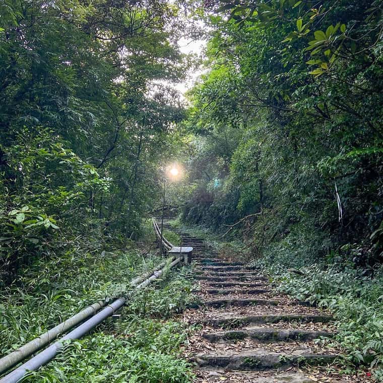 thap truyen hinh tam dao vinh phuc