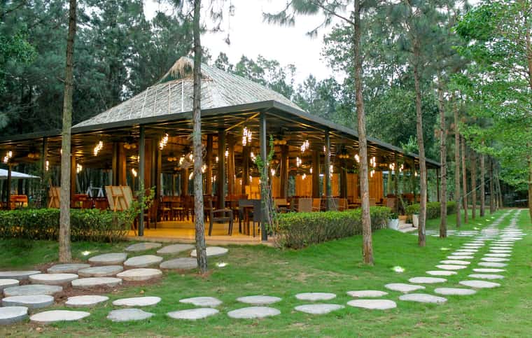 nha hang the beach flamingo dai lai resort