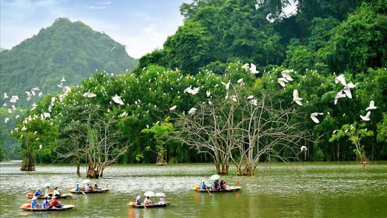 justfly thung nham bird park ninh binh