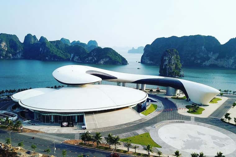 cung ca heo ha long