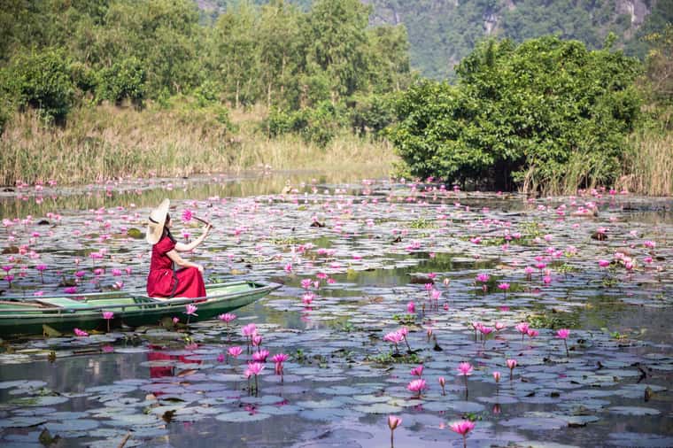 justfly-thung-nang-ninh-binh-2.jpg