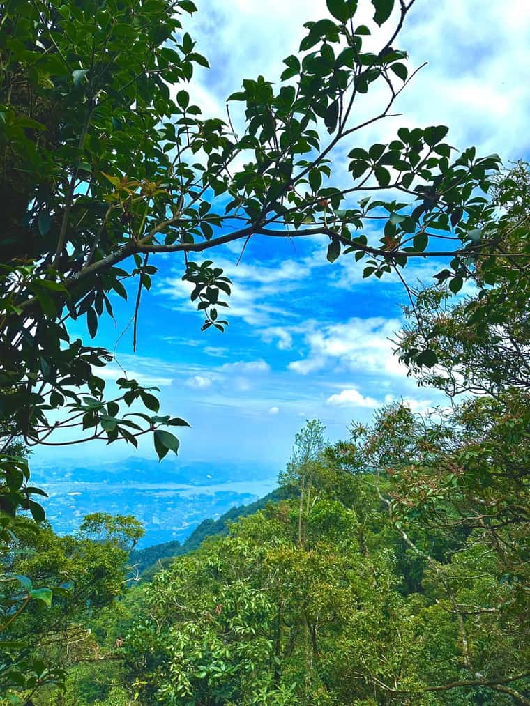 vuon quoc gia tam dao vinh phuc