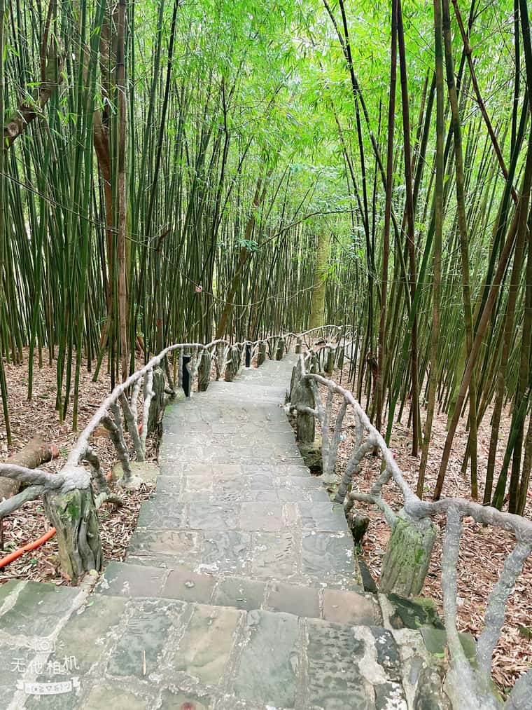 den ba chua thuong ngan tam dao vinh phuc