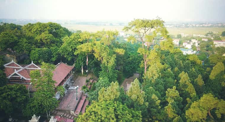 justfly chua tram gian hanoi