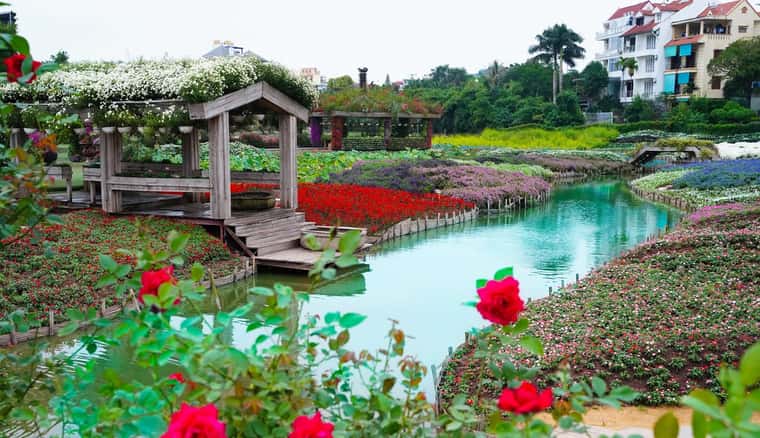 justfly thung lung hoa ho tay hanoi