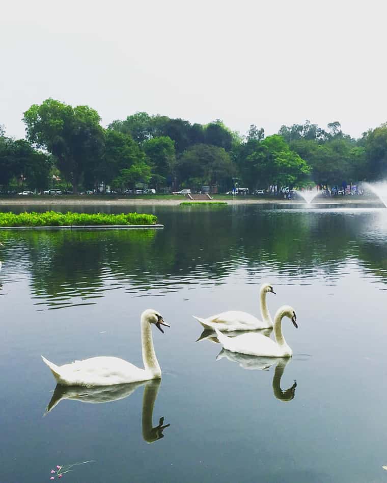 justfly ho thien quang hanoi