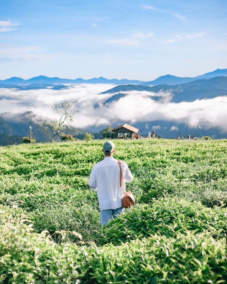justfly doi che cau dat da lat