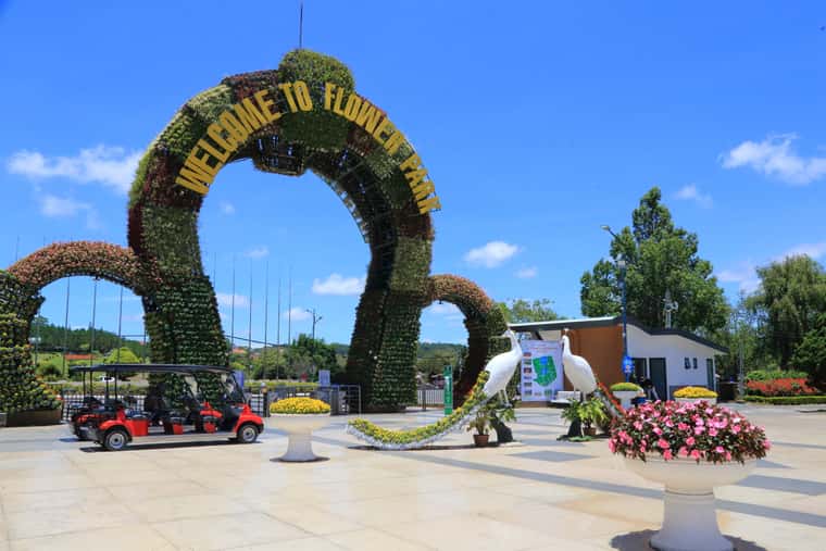 justfly vuon hoa thanh pho da lat