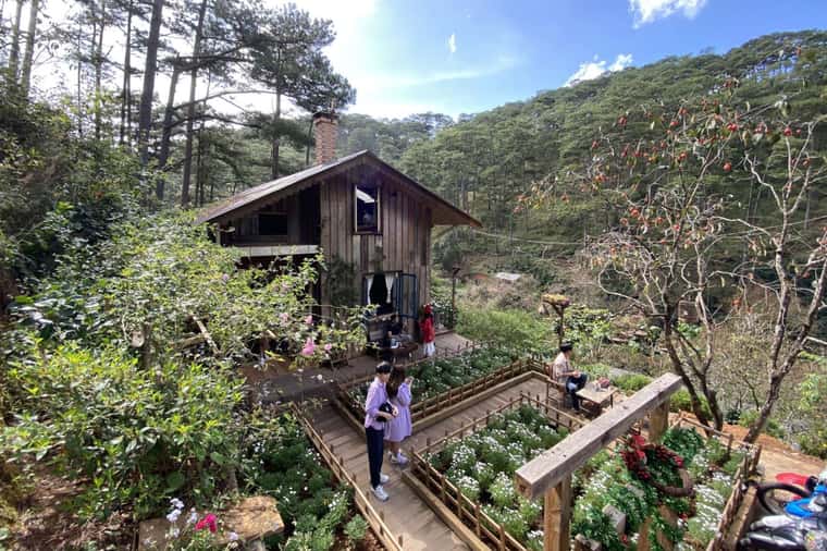 justfly-lung-chung-cafe-da-lat-2.jpg