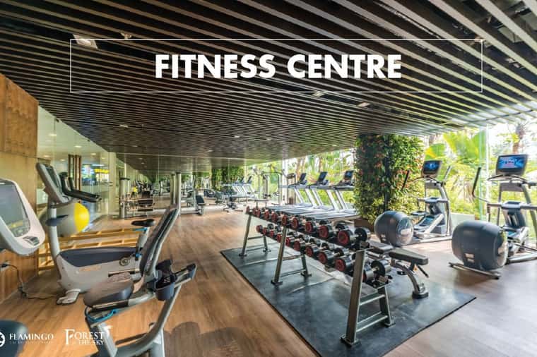 fitness-center-flamingo-dai-lai-8.jpg